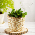 Rattan Wrapped Glass Cup With Handle glass flower pots clear glass candle holder Supplier